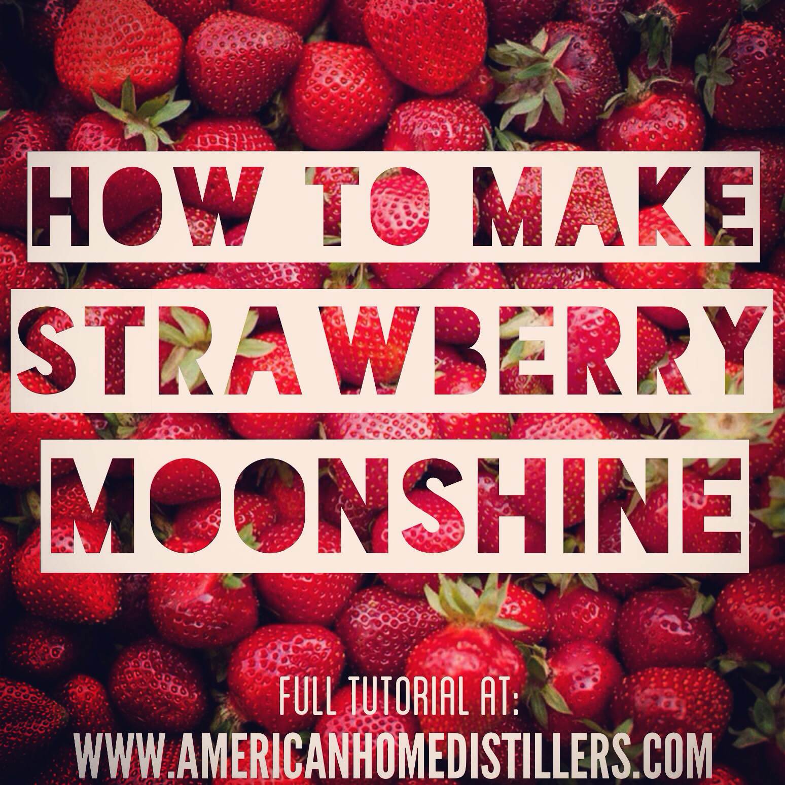 How To Make Strawberry Moonshine American Home Distillers Association