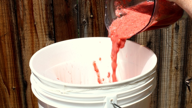Pour strawberries into bucket2